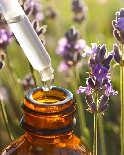 Beneficios del aceite de lavanda