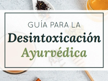 Desintoxicacion Ayurvedica Portada